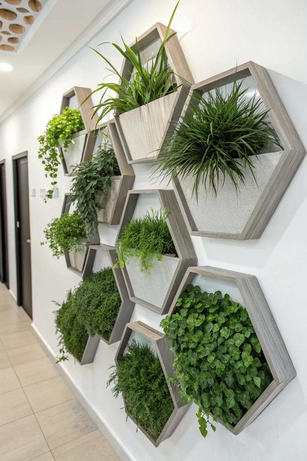 Geometric patterns bring a contemporary edge to your indoor plant displays.