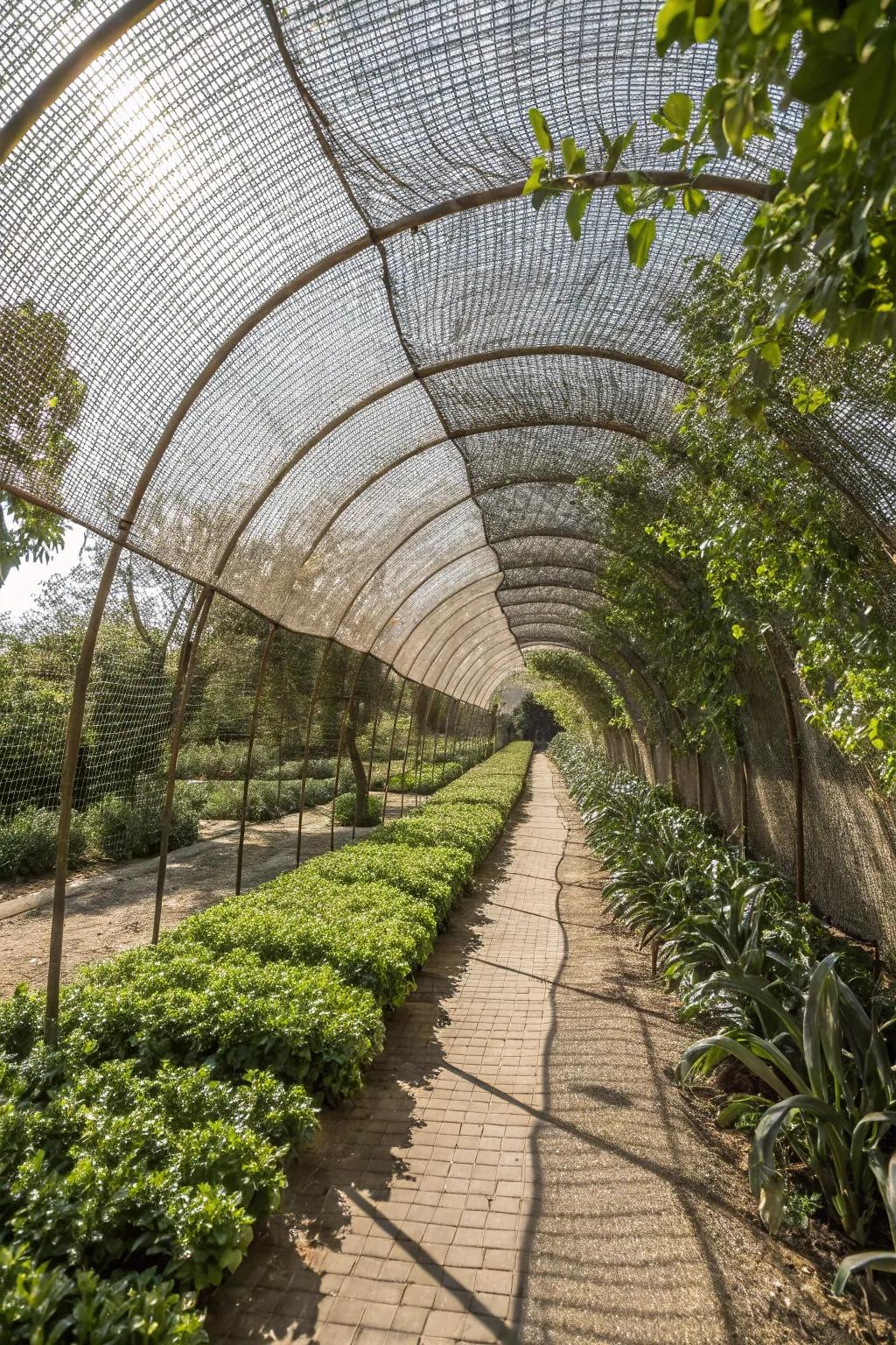 Craftsmanship in the Garden: A stunning netted tunnel protecting your greens with style.