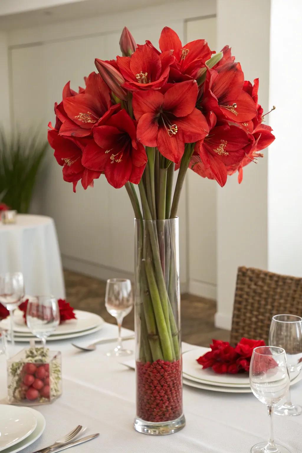 Bold and beautiful amaryllis flowers for a dramatic holiday statement.