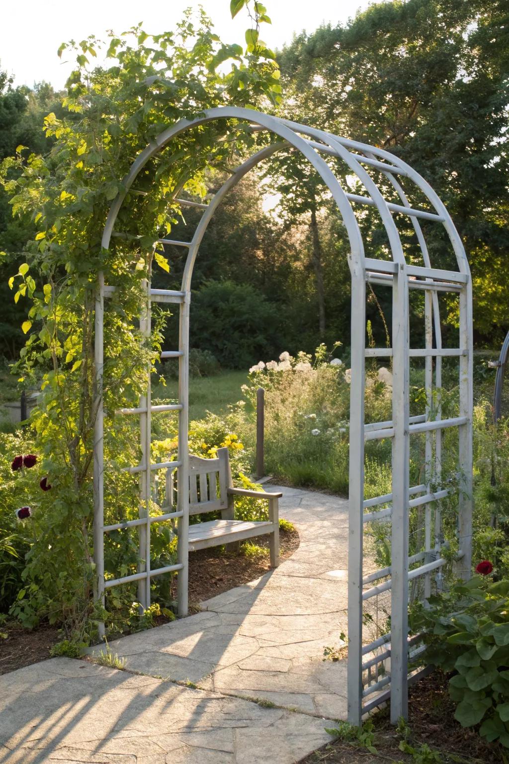 Step into a serene garden paradise with this minimalist cattle panel archway, where tomatoes and nature intertwine in harmony.
