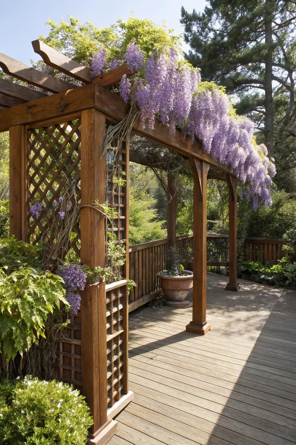 Transform your deck into a fragrant oasis with a handcrafted trellis draped in wisteria.