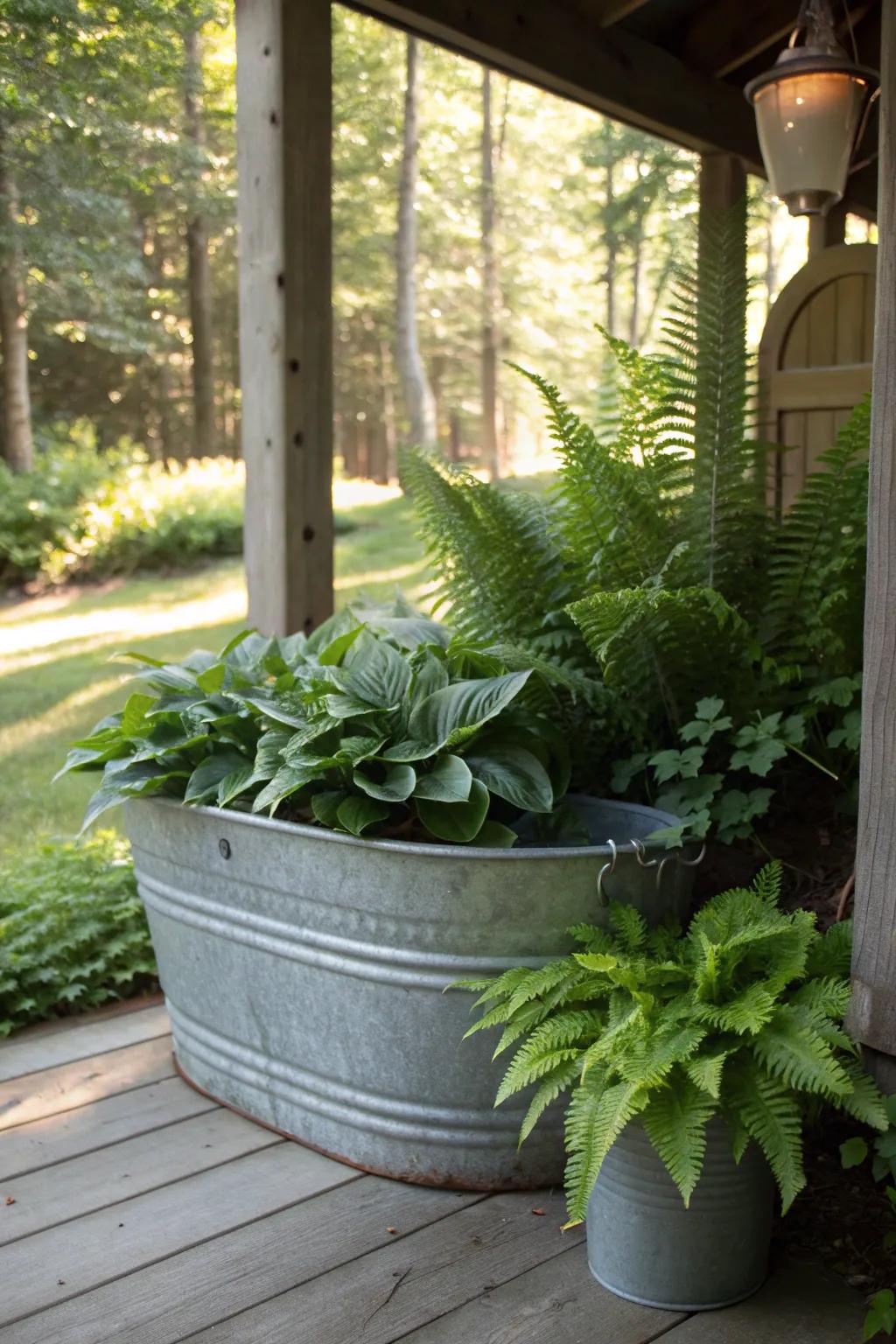 Craft your own shade-loving oasis with a galvanized wash tub filled with vibrant ferns and hostas.