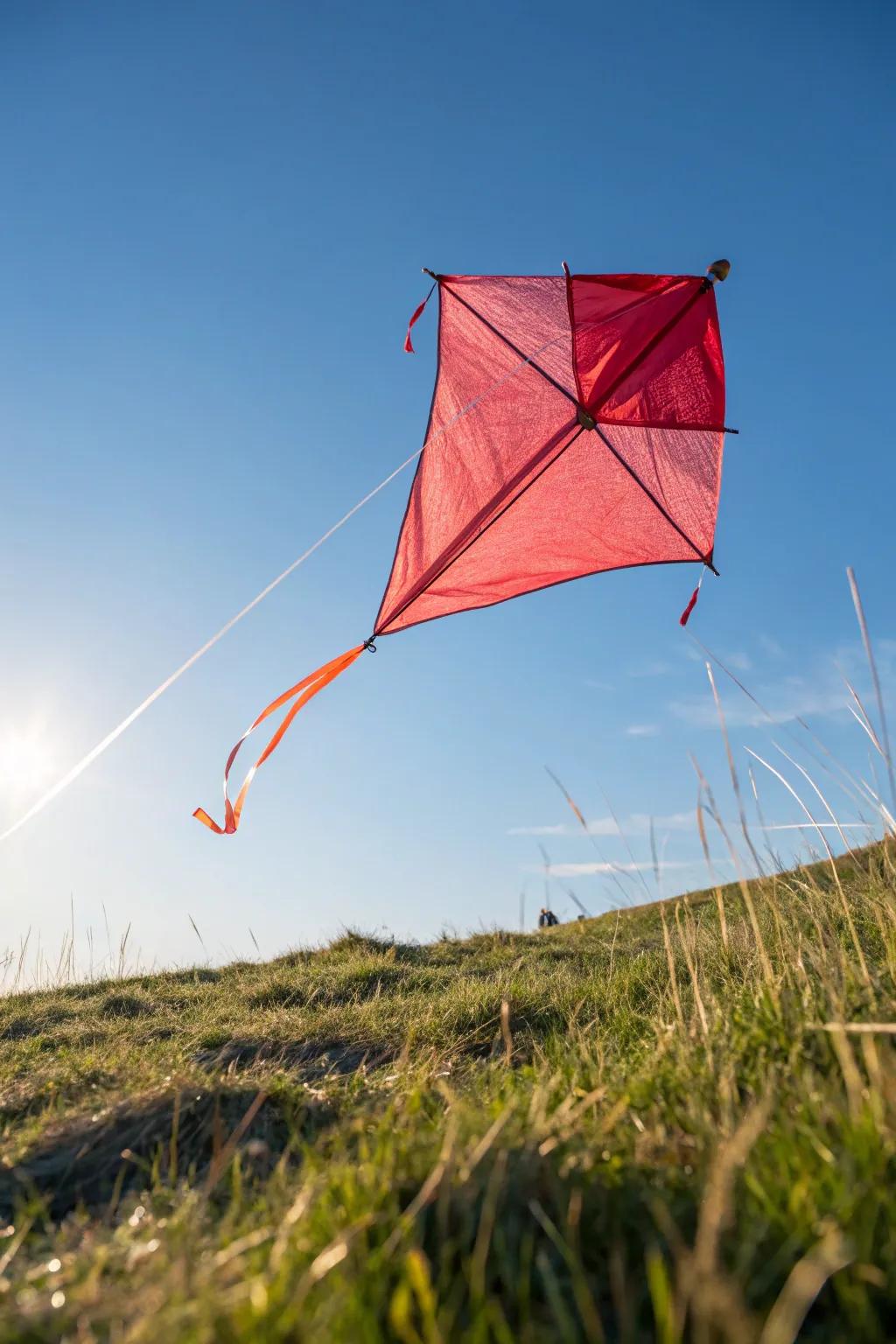 Soar high with this charming DIY kite, where simplicity meets vibrant creativity!