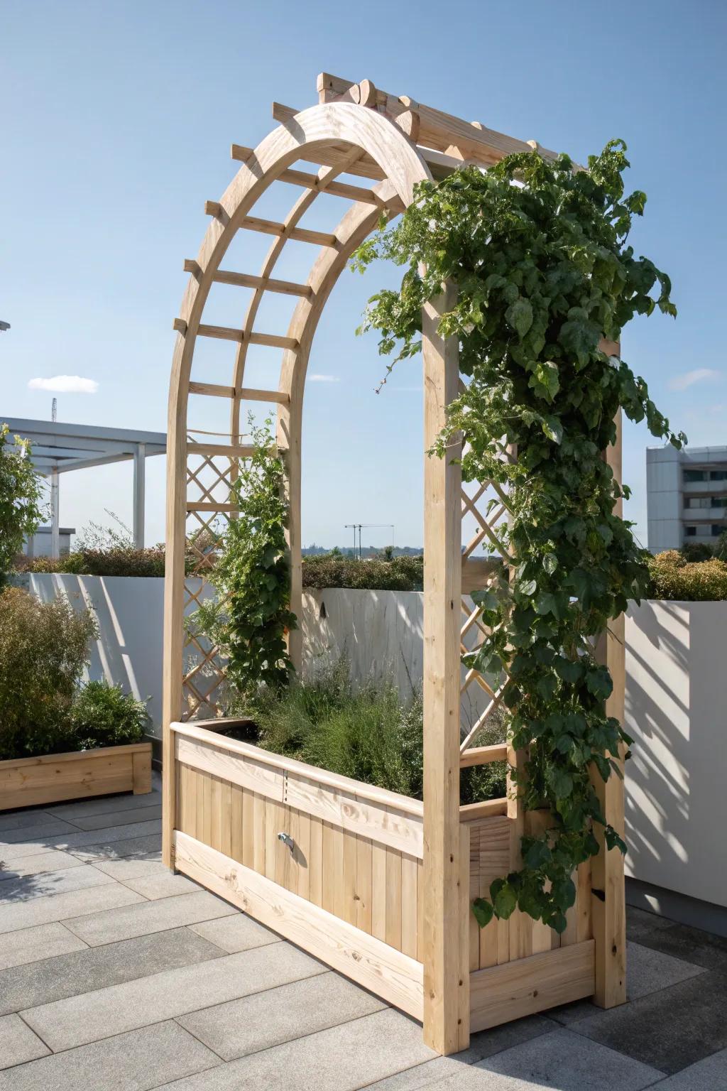 Elevate your garden's charm with an elegant arch trellis, blending minimalist beauty with boho vibes.