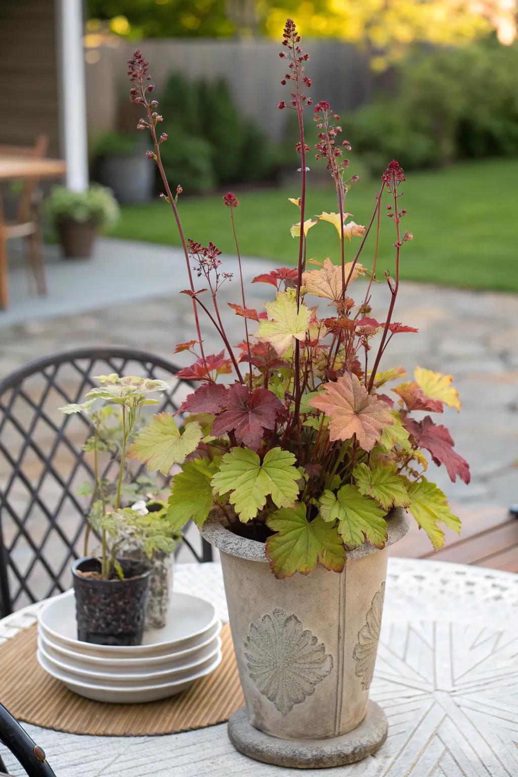 Heuchera adds surprising texture and color to this patio setting.