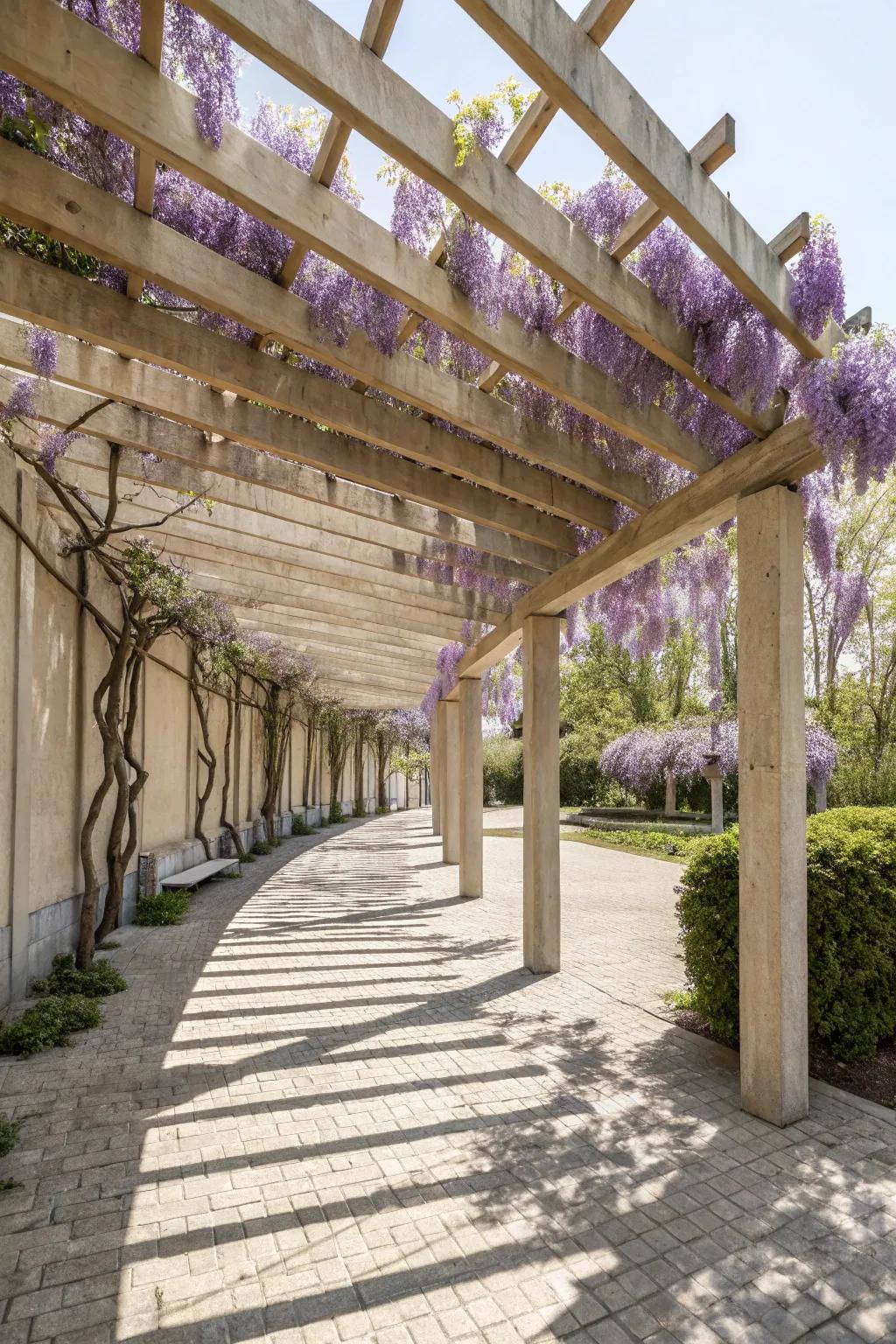 Embrace simplicity and natural elegance with a vine-covered pergola, your dreamy outdoor escape.