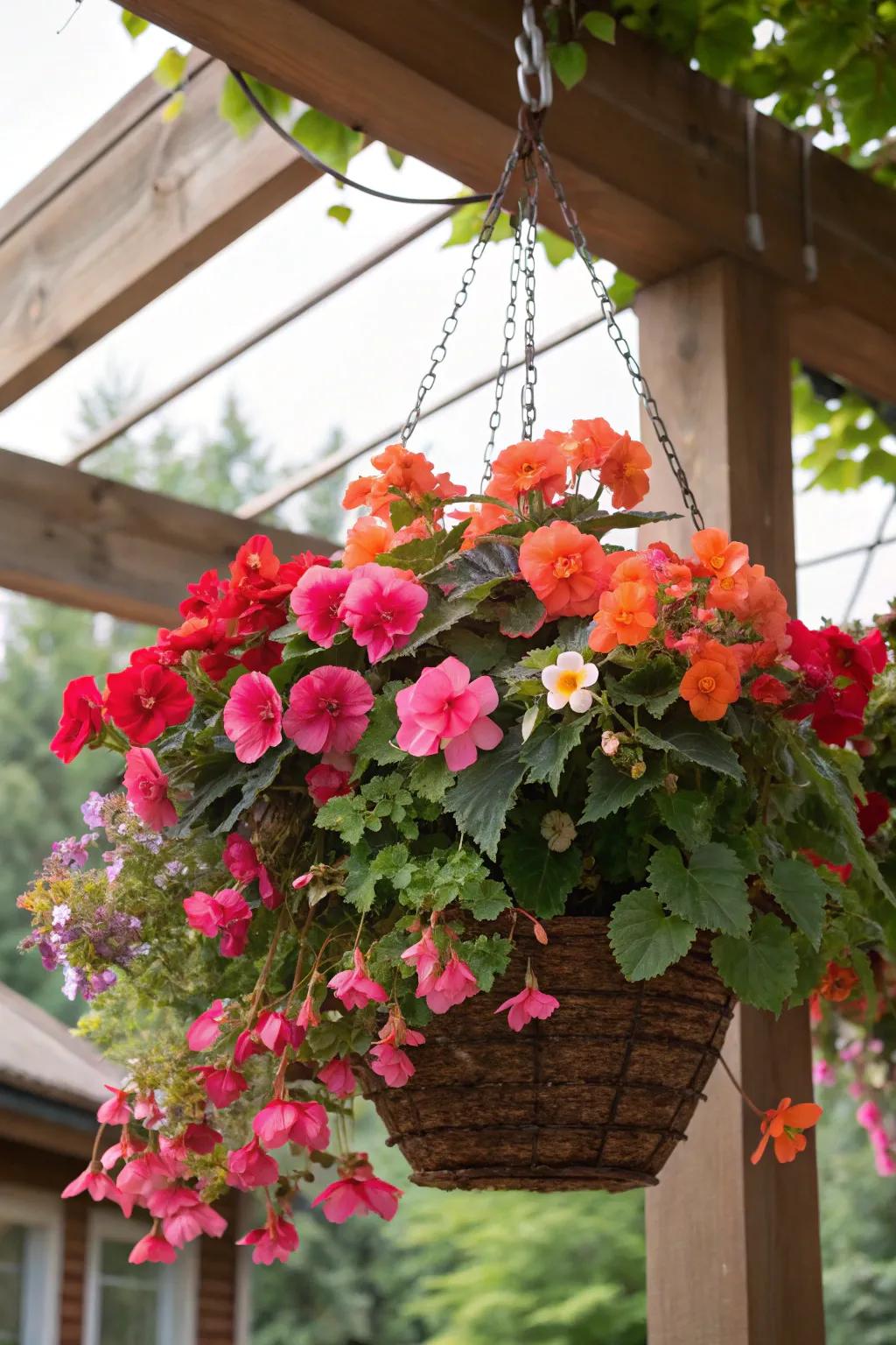 An eclectic mix of blooms creates a lively and interesting display.