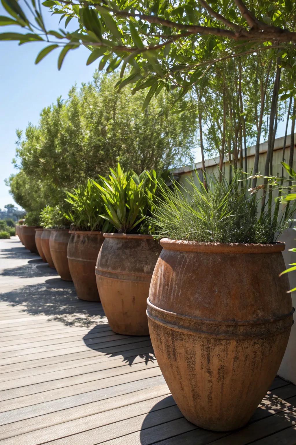 Transform your space with a charming potted plant privacy barrier—perfect for stylish and adaptable living.