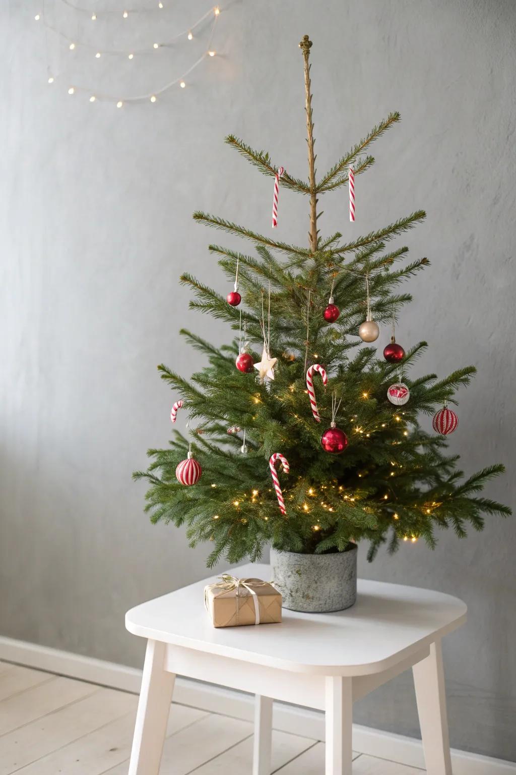Hooked on Holiday Fun: Try the Candy Cane Tree Toss!