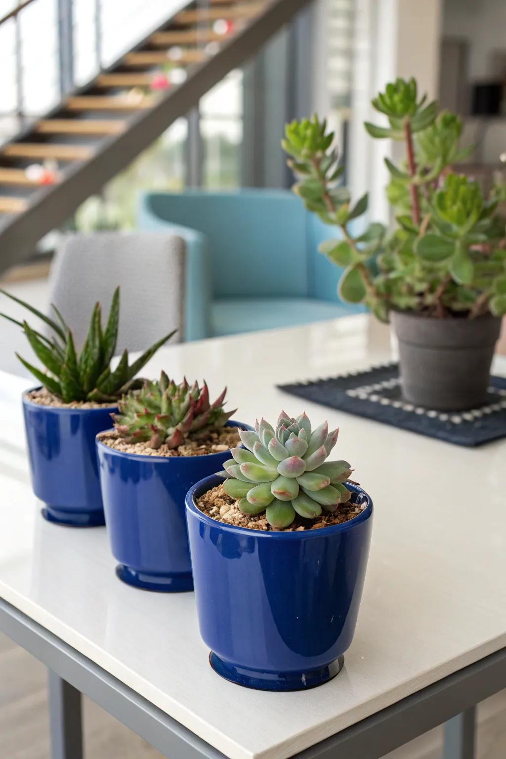 Succulents in royal blue pots bring a trendy and modern vibe to the centerpiece.