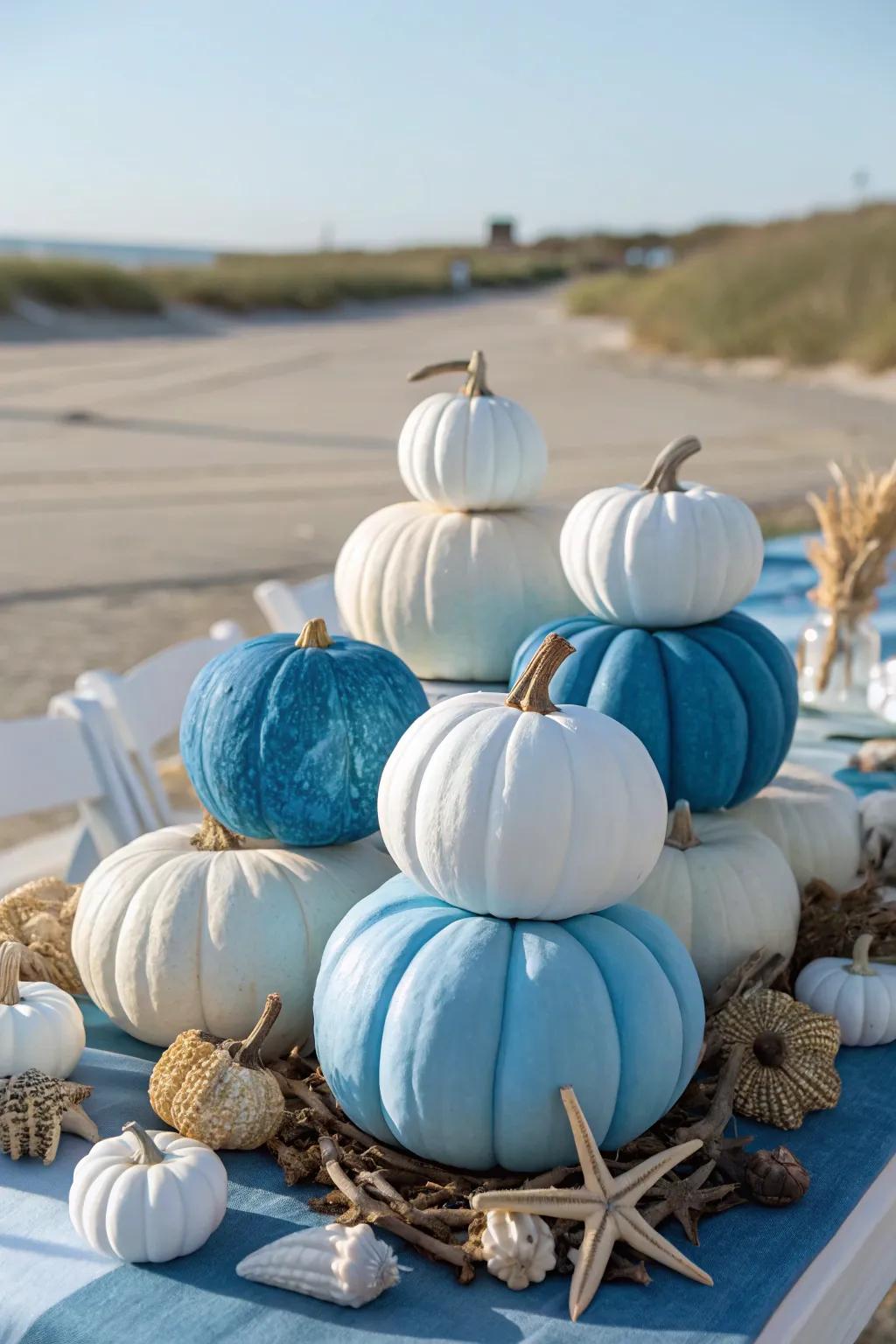 Coastal pumpkins bring the ocean to autumn.