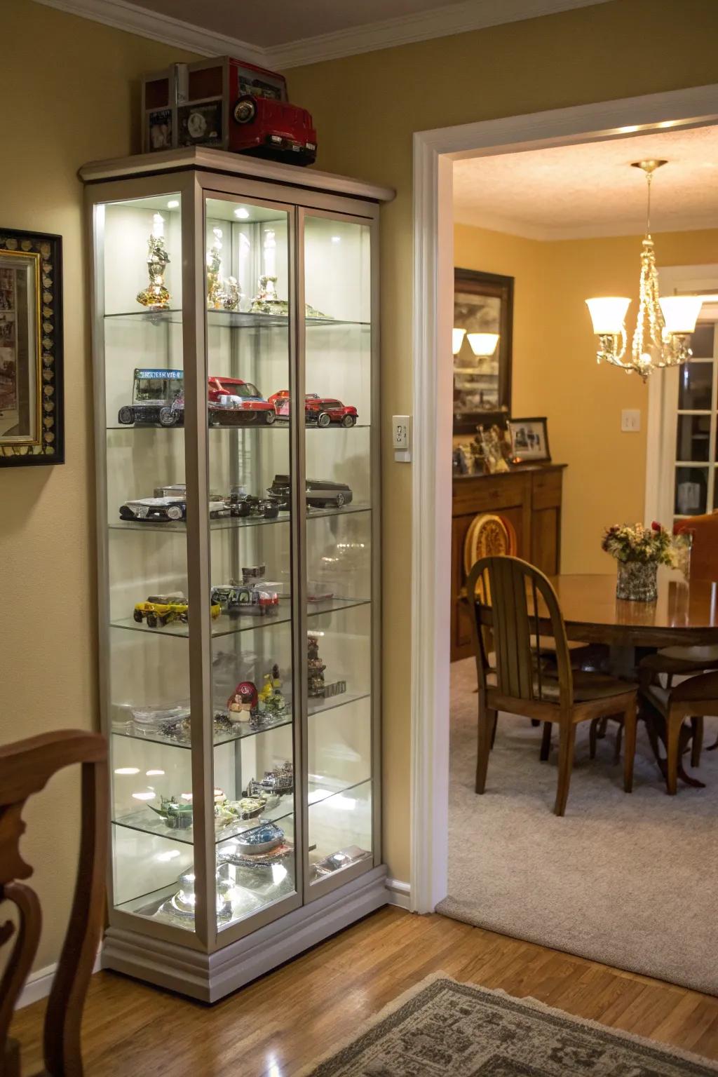 A glass cabinet offering a clear view of miniature treasures.
