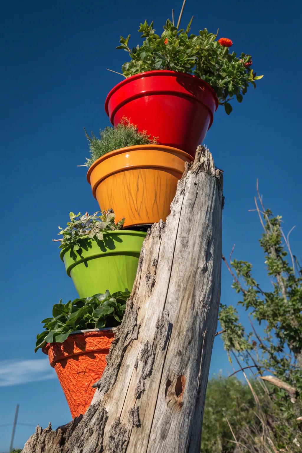 Elevate your space with a bold vertical garden on a classic, rustic canvas.