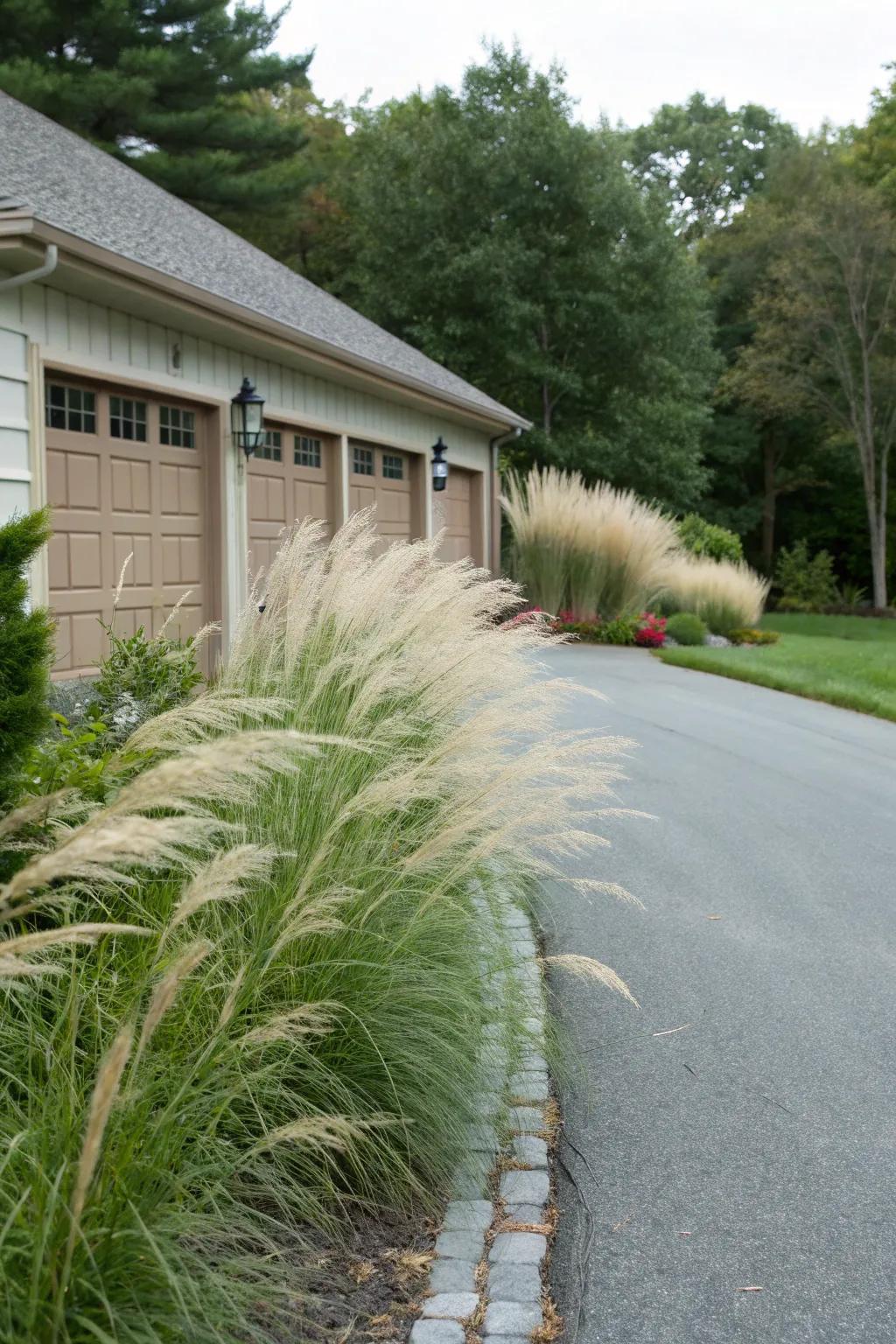 Ornamental grasses bring texture and elegance to any driveway.