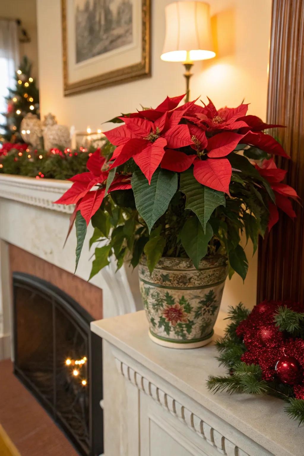 Poinsettia perfection with a classic Christmas floral arrangement.