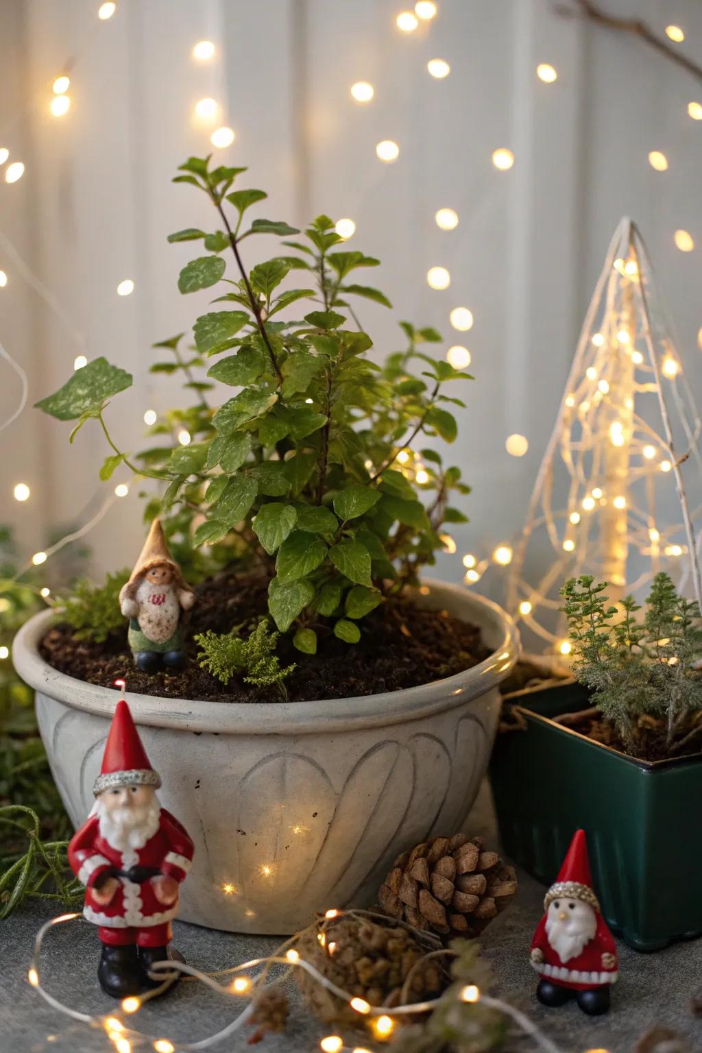 Accessories turn plants into charming focal points.