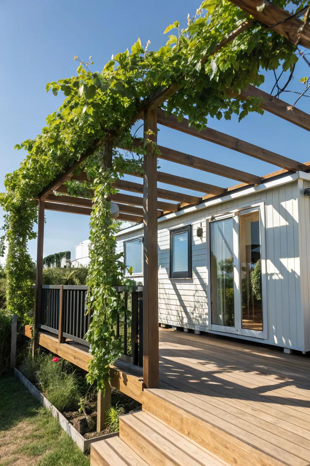 Transform your mobile home deck into a shaded oasis with a sleek pergola and lush climbing plants.