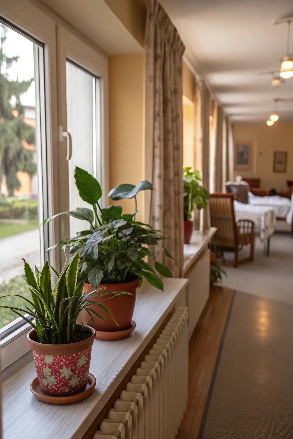 Plants bring nature and serenity into the room.