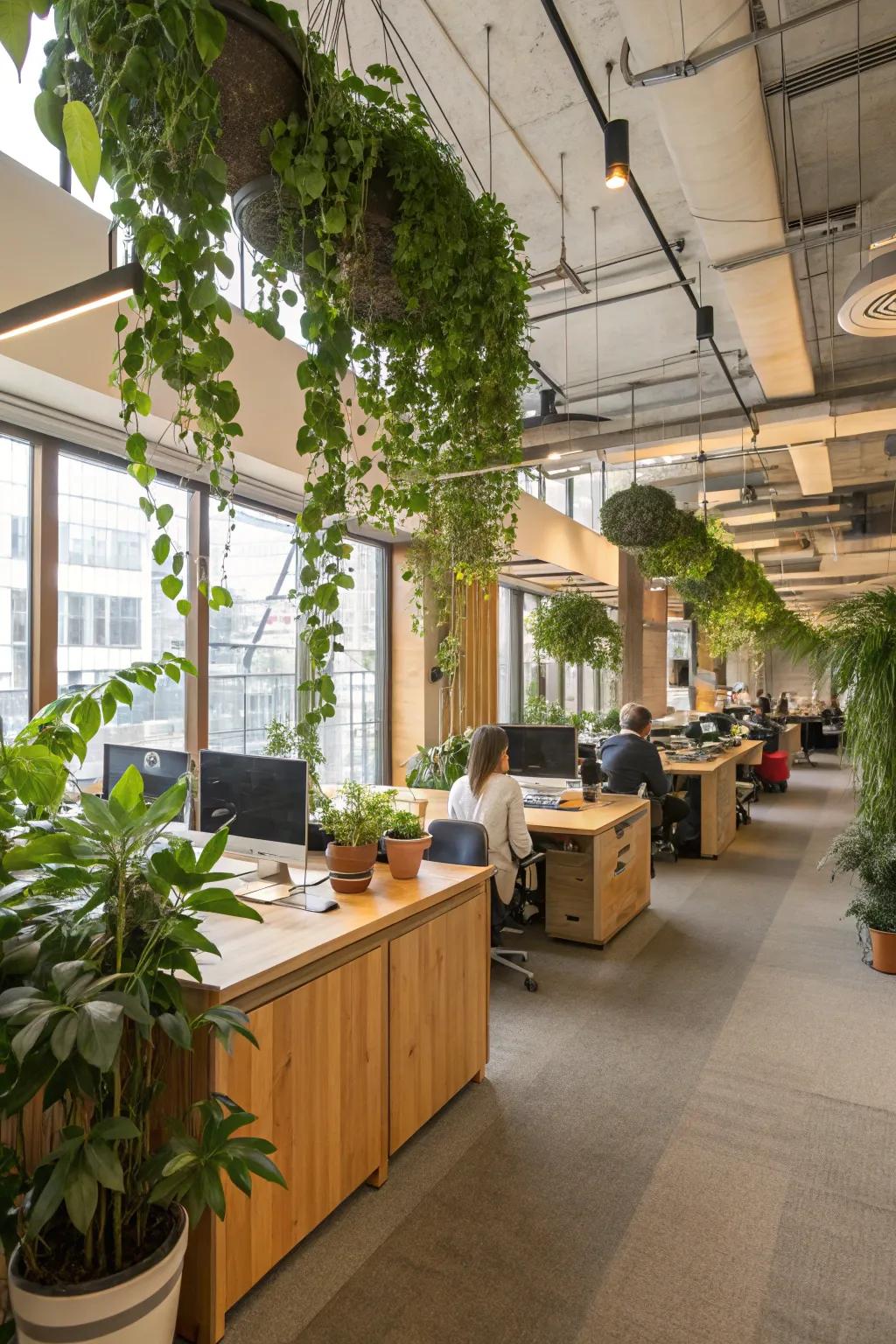 An office enriched with biophilic design, highlighting plants and natural elements.