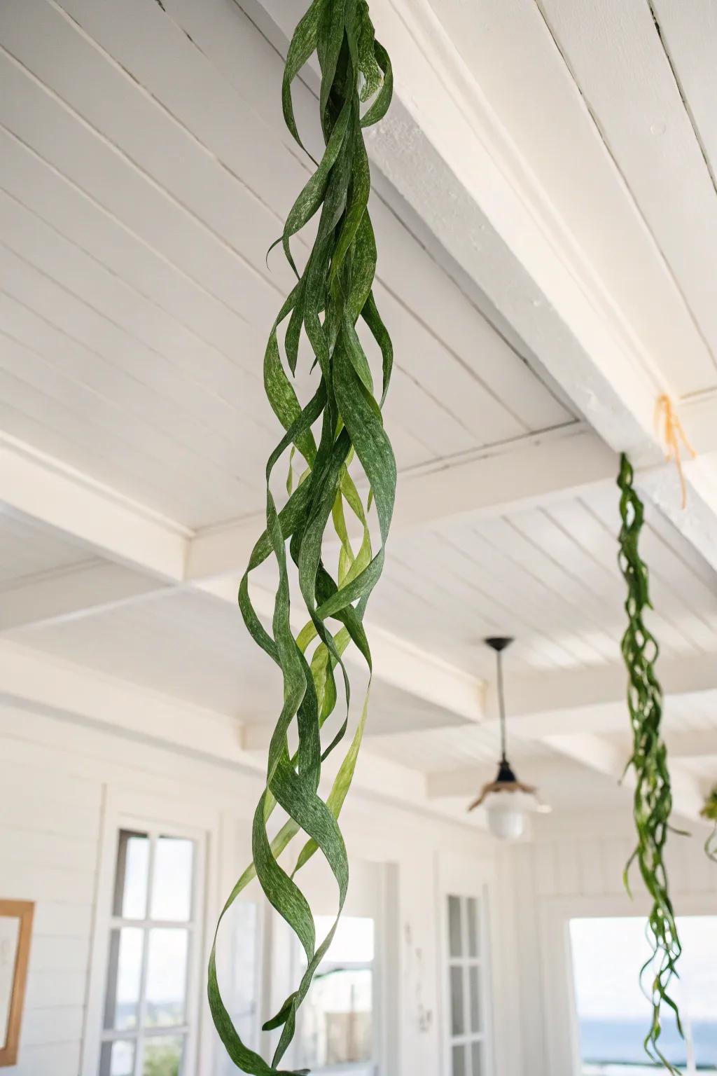 Bring the serene beauty of the ocean indoors with elegant seaweed streamers.