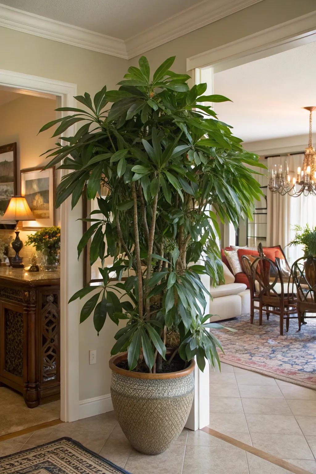 Accent pieces like plants create natural boundaries.