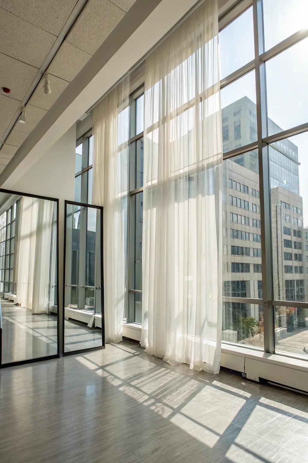 Natural light creates a warm and inviting office space.