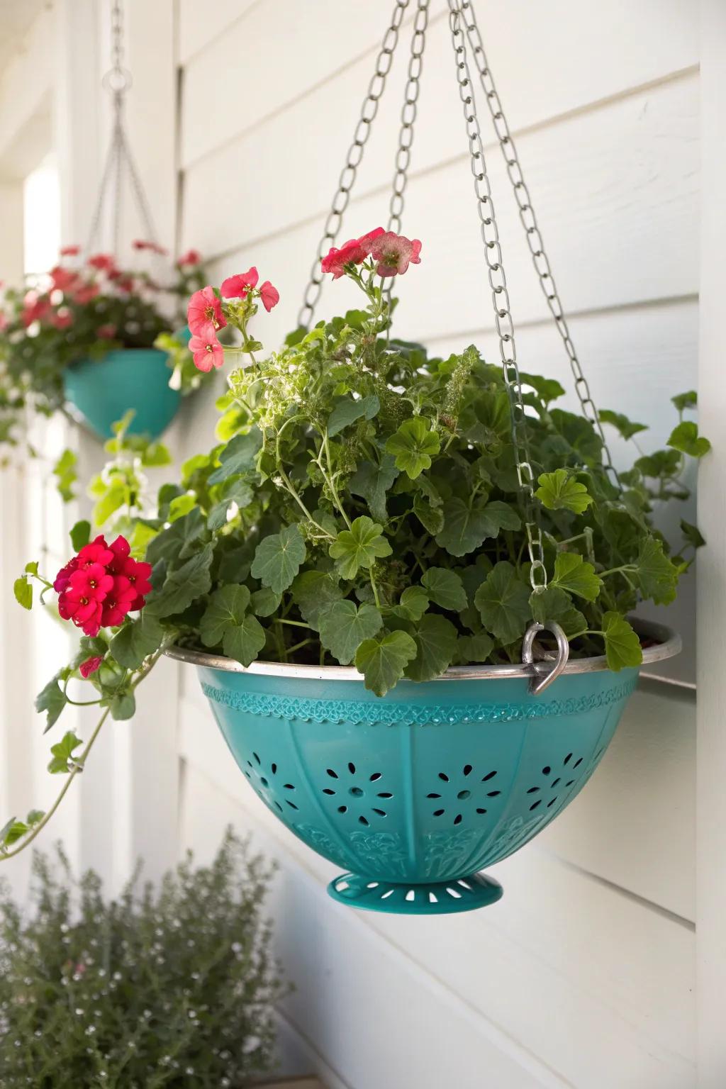 Transform your garden space with a pop of color and creativity using DIY colander hanging planters!