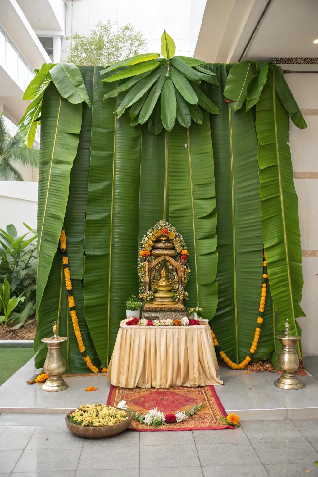 A traditional banana leaf backdrop for Varalakshmi Vratam.