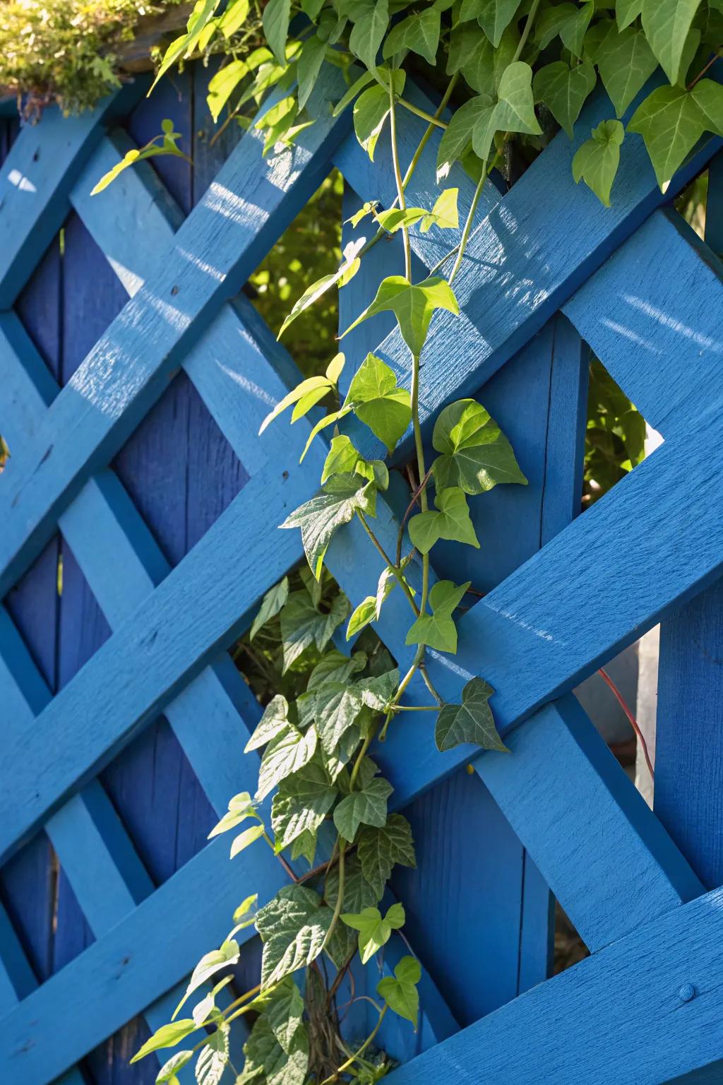 Craft Your Green Sanctuary: Elevate your space with a bold lattice trellis adorned with lush foliage.
