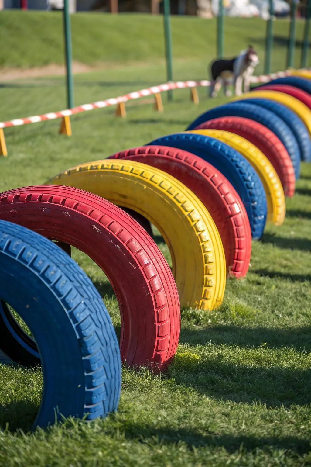 Transform old tires into a vibrant DIY agility course for endless doggy fun!