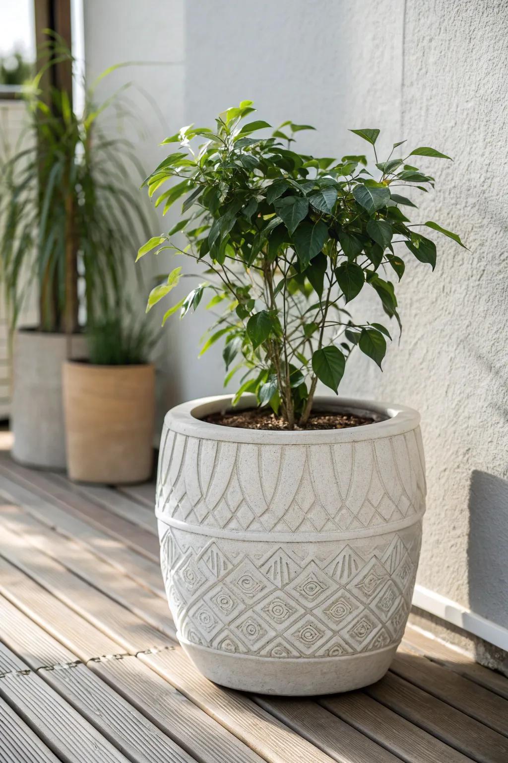 Achieve garden harmony with symmetrical pot arrangements.