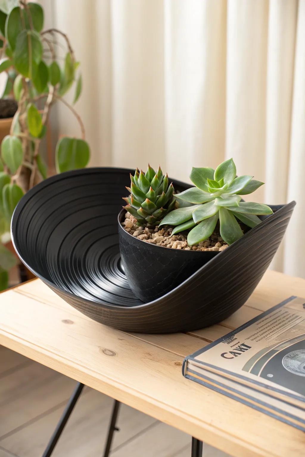 Transform your old vinyl records into chic planters and bring a touch of green into your space with style!